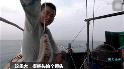 海上直播赶海视频,山东海阳赶海直播