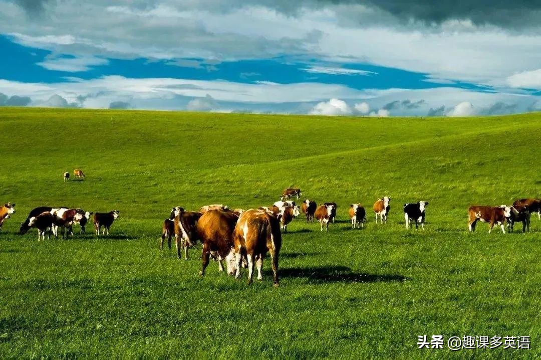 北京的英文译名是Beijing，*藏西**为什么不是Xizang？而是…