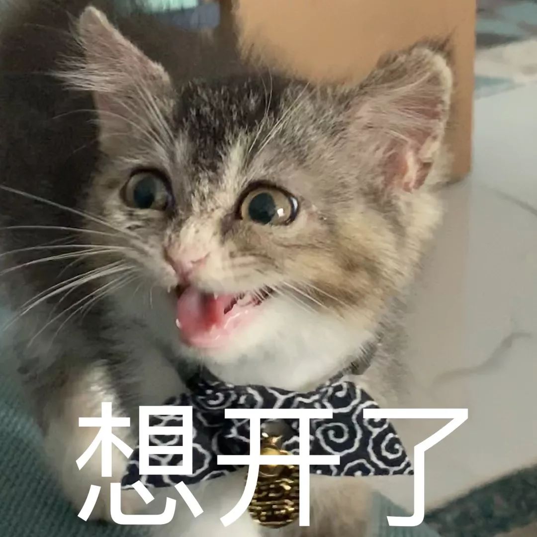 一只鸭子一万五元,一只鸭子一万多