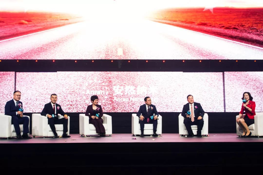 安然纳米营销模式,安然纳米2019年