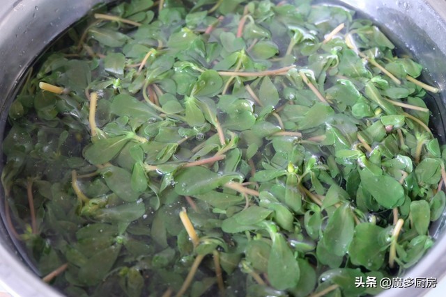 农村菜地里一种野菜酸酸甜甜的,农村常见能吃的野草和做法