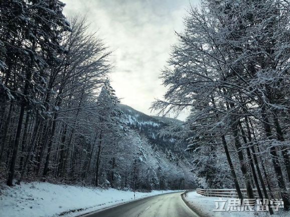 德国卡尔斯鲁厄理工学院德国排名,德国顶尖理工科大学