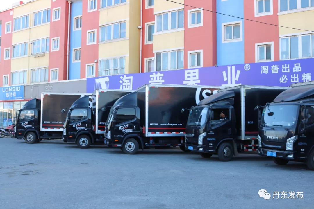 东港草莓怎么那么甜,东港草莓种植标准化