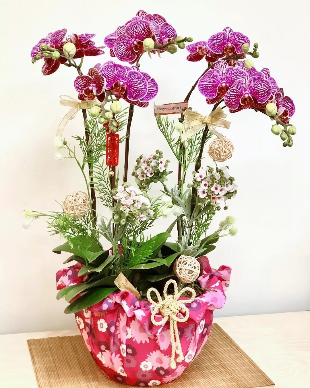 蝴蝶兰难养,蝴蝶兰开花后需要做好的养护要点