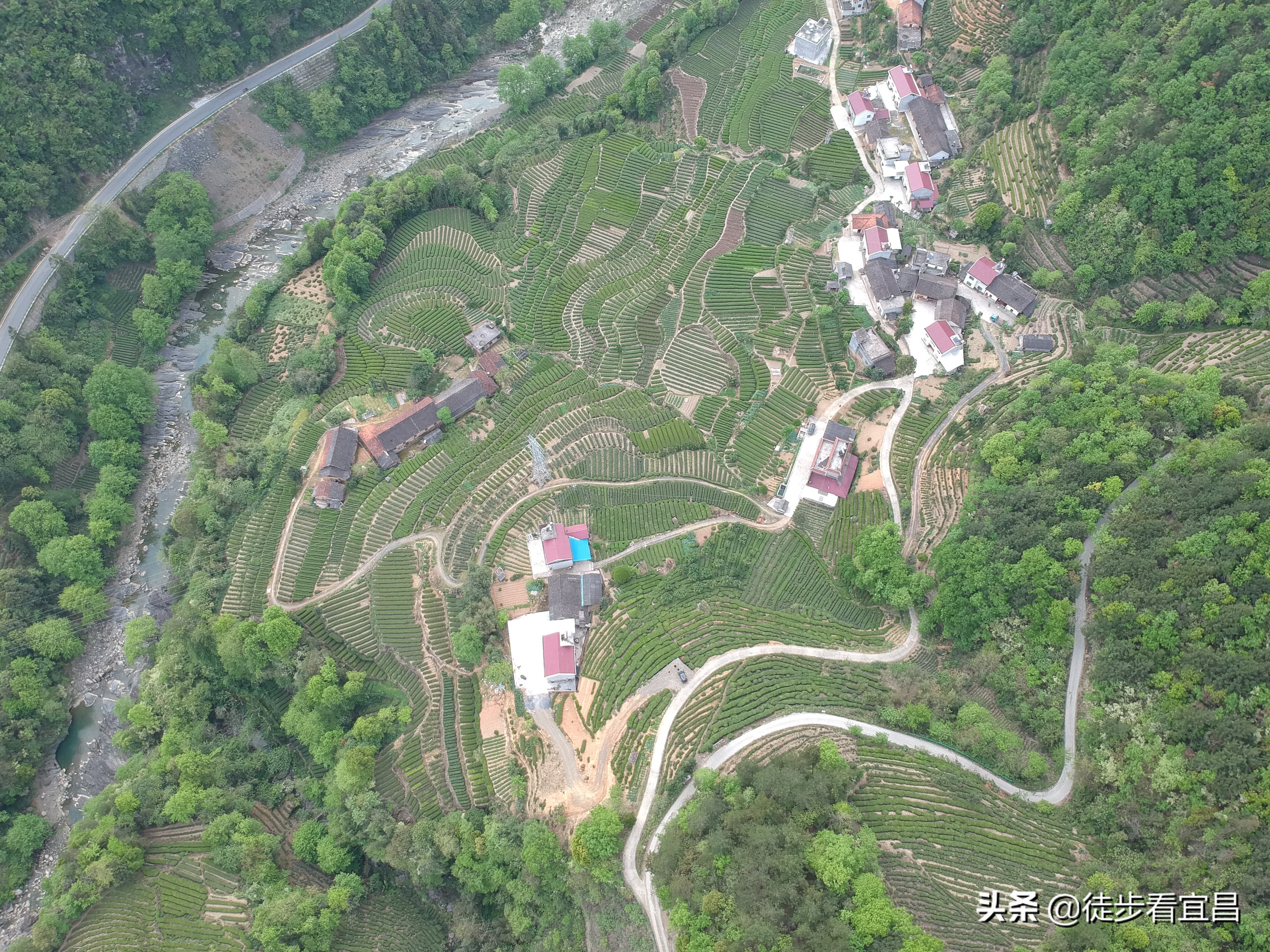 宜昌五峰茶乡全景,宜昌五峰国际旅游茶乡