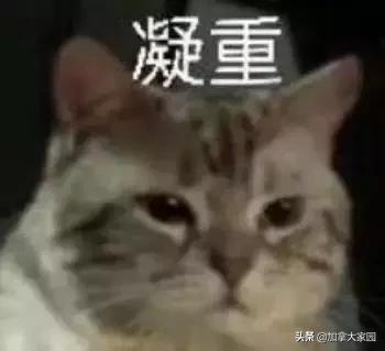 寄包裹去加拿大,寄加拿大包裹加拿大收税吗