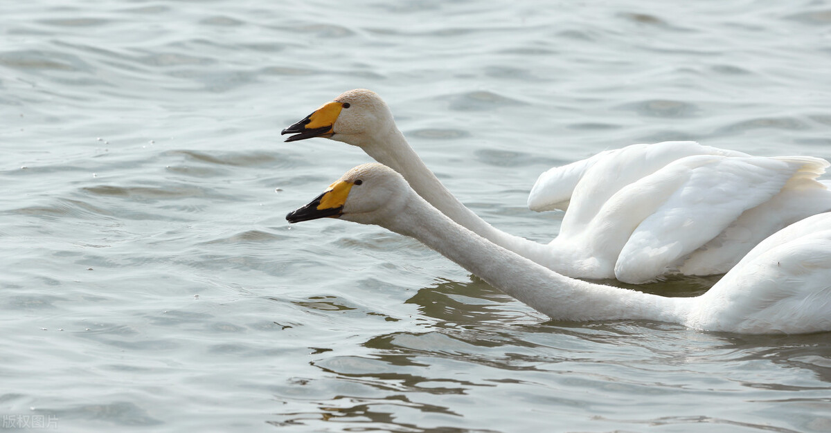 运城市十三县市有哪些,运城十三个县市有哪些