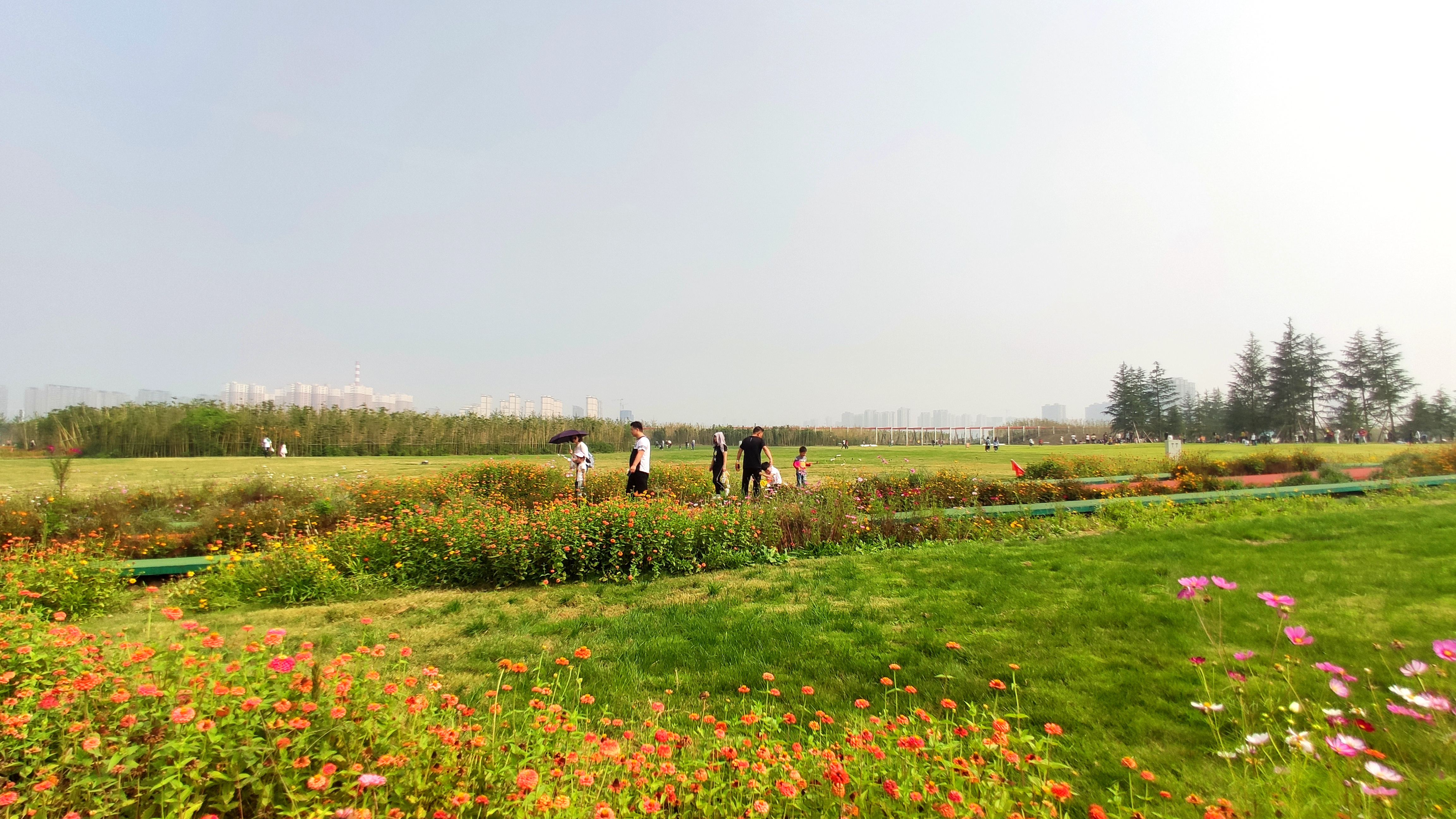 家门口的生态公园，西安最大的城市生态公园开园了