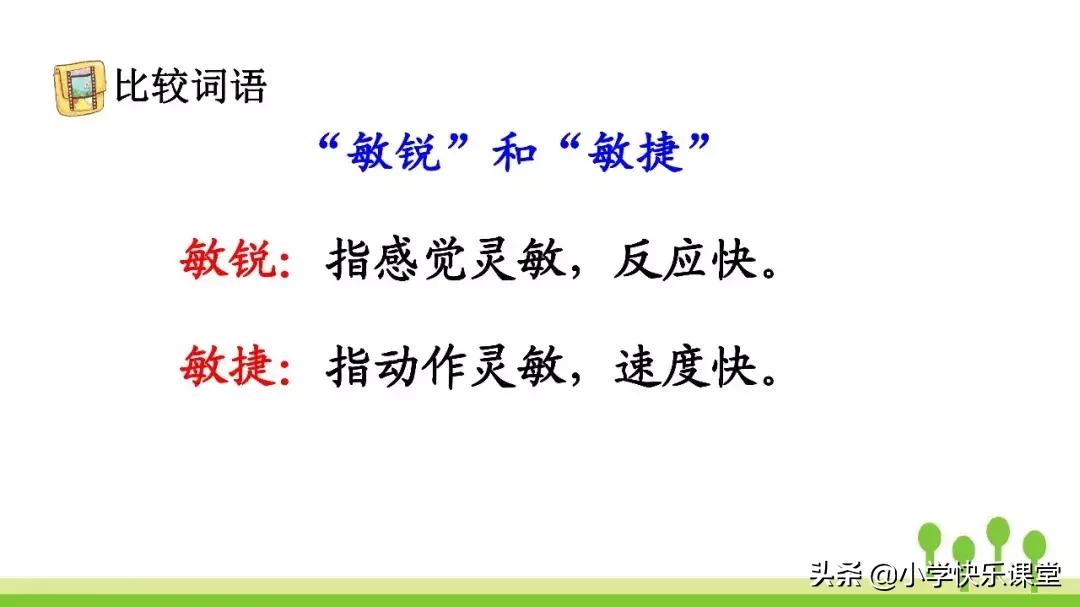 四年级上册语文蝙蝠和雷达课后题,部编版四年级上册语文蝙蝠和雷达