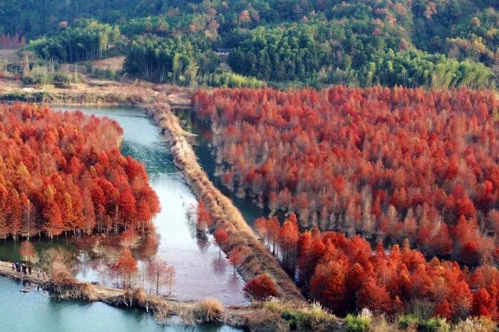 秋天的杭州自驾游,杭州秋冬自驾
