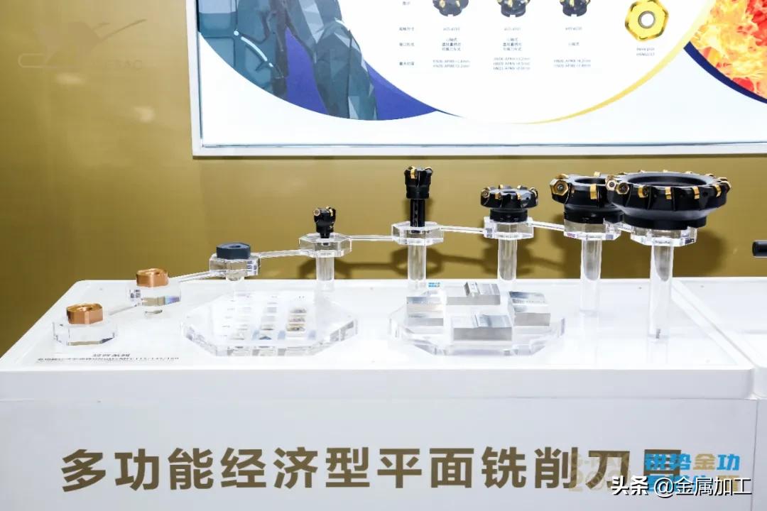厦门金鹭展会,厦门金鹭中秋节晚会视频