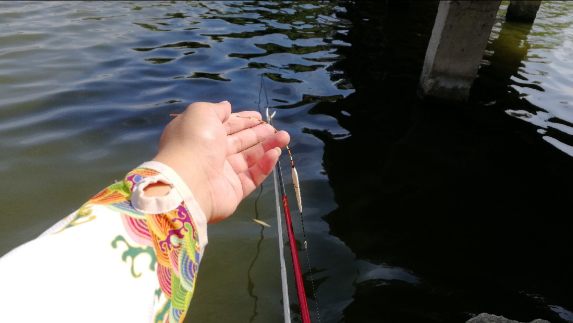 钓鱼的经验和忠告,这些年钓鱼都走了什么弯路