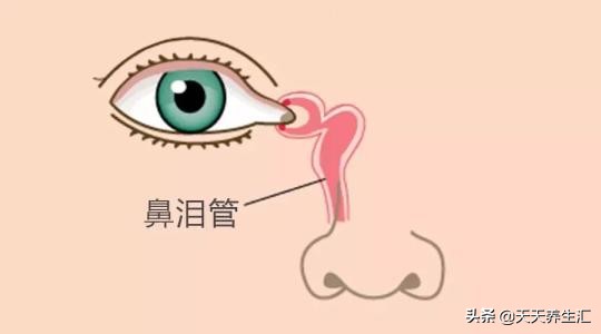 一打哈欠就流泪有鼻涕是什么原因,一打哈欠就流泪头晕