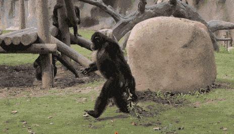 以前人们长虱子现在怎么没有了,为何30年前农村男女老少都有虱子