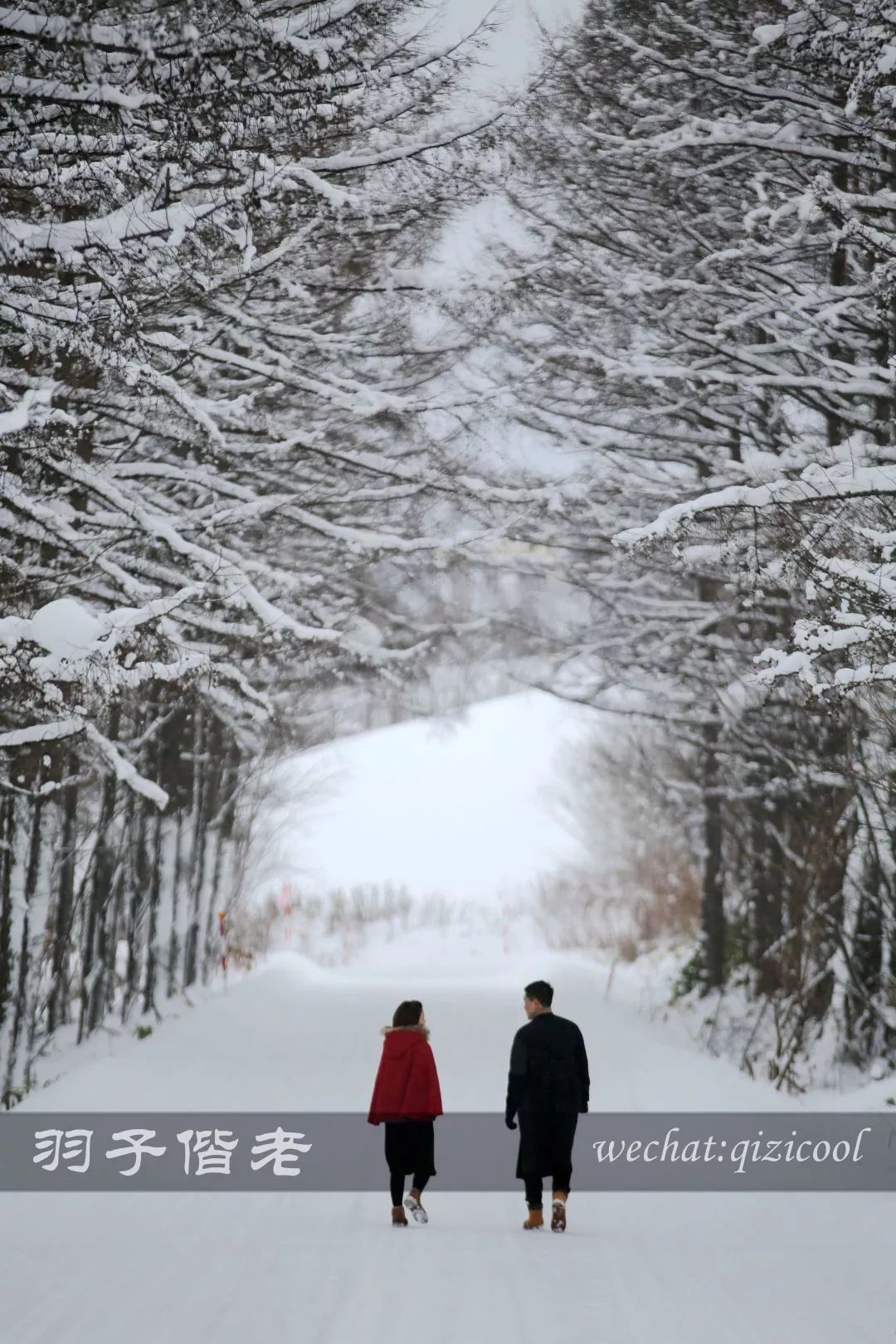 老实说，这一趟北海道就是为了拍好看的照片去的
