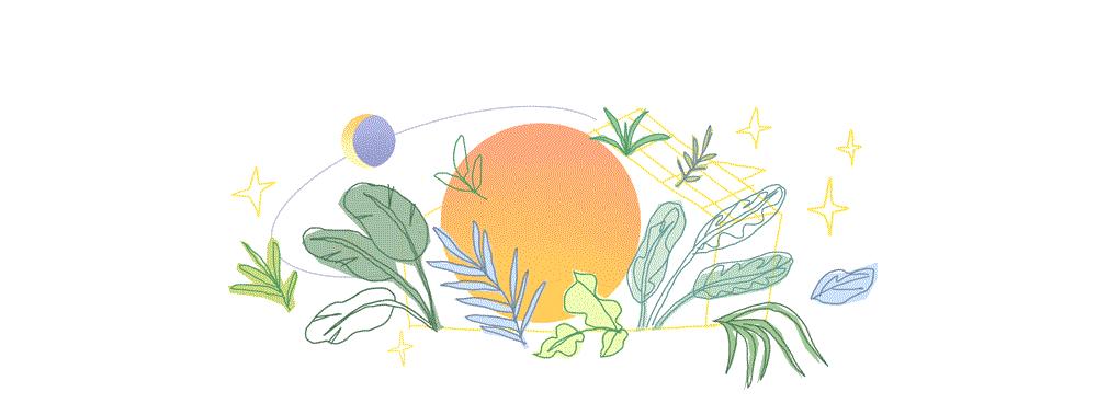 做一档现场音乐节目,还有突围的可能吗?