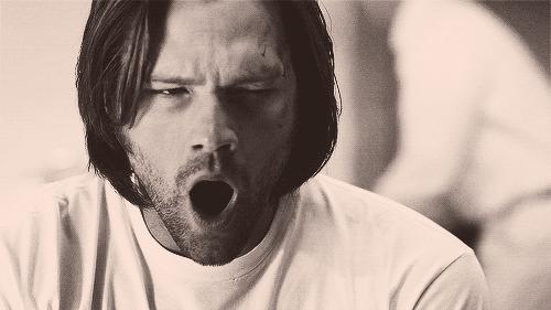 cheers在英语中怎么用,上厕所用经典词语怎么说