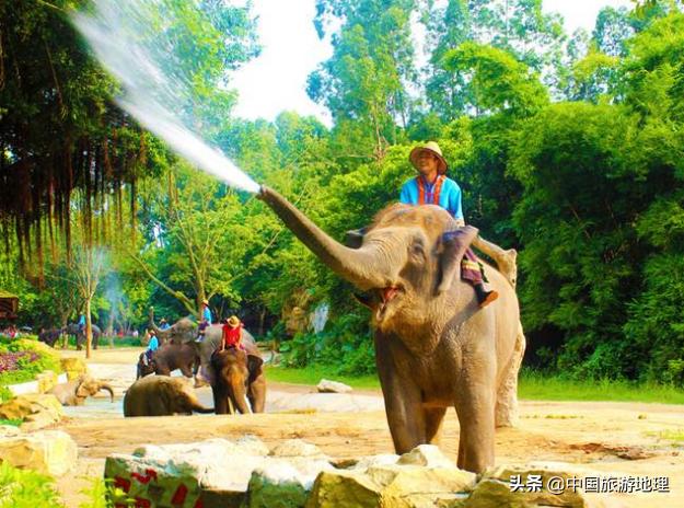 有哪些关于泰国的冷知识知乎,泰国冷知识全部