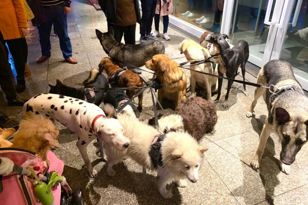 长沙一个回味无穷的城市,心心念念的长沙城