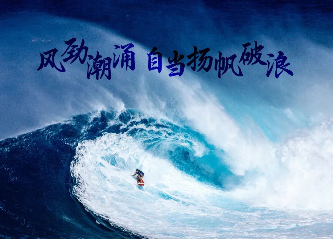 斩获四项知名大奖,斩获双料大奖