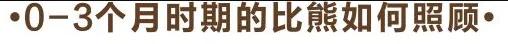 比熊犬怎么养？比熊犬吃什么？养比熊有哪些注意事项？?