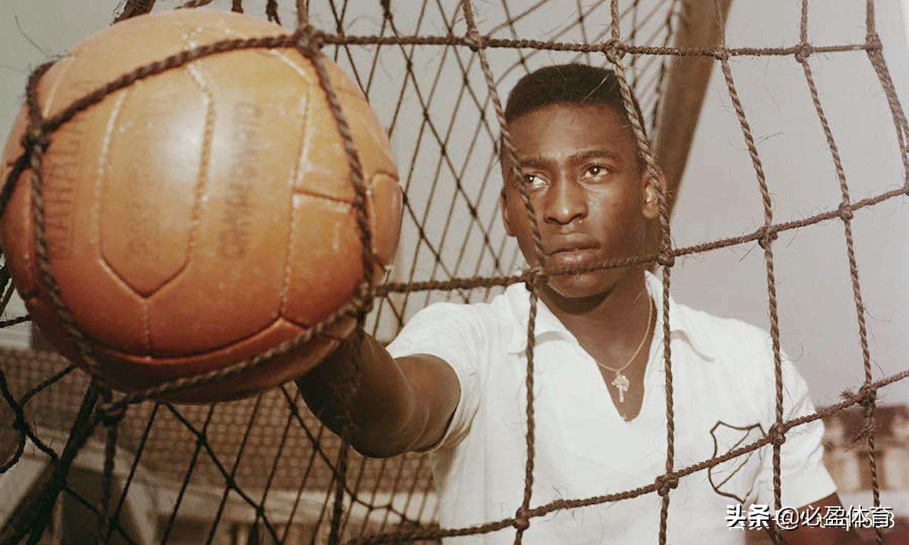 球王之路拜仁慕尼黑阵容,贝利球王之路全集