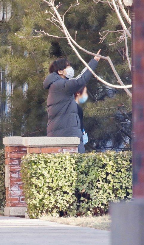 青3最新选手名单,肖战王一博丁禹兮三人头像