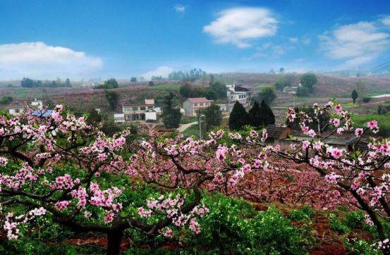 成都乡村休闲旅游热门排行,成都美丽乡村游