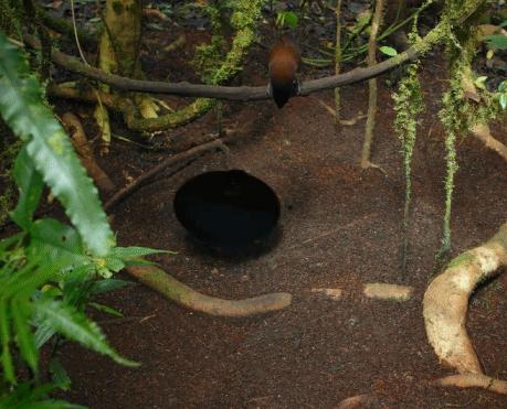 拯救剧荒的韩国电视剧,拯救剧荒电视剧全集