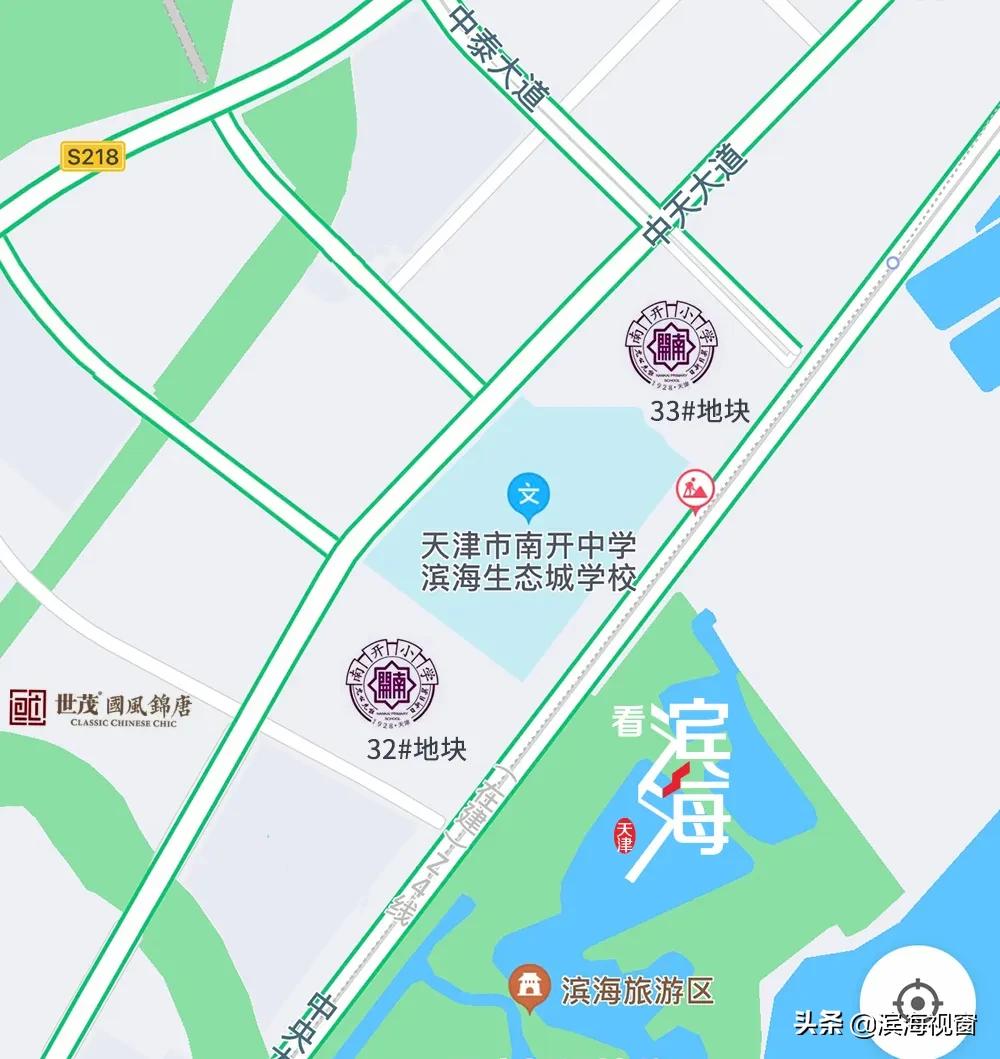 天津滨海新区重点小学一览表,天津滨海新区南开小学