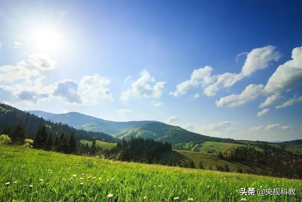 描写春天美景的成语或词语,形容春天的词语成语有哪些