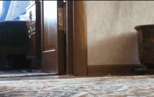 沈阳药科大学研究生一天真实生活,研究生毕业后的真实生活