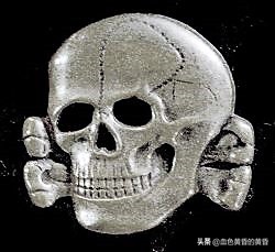 武装*党**卫军：保卫希特勒元首碉堡并坚持到最后的居然是法国人？