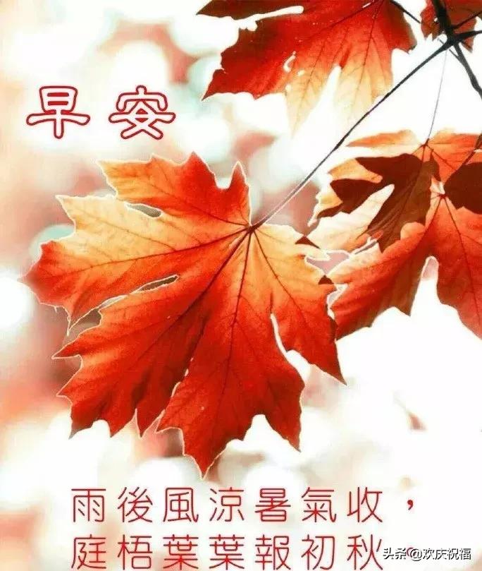 早上好问候语2019最火图片,微信早上好最暖心祝福问候语图片