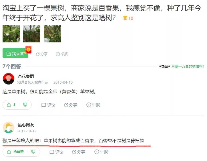 淘宝网店的宿迁神苗,宿迁神苗什么意思