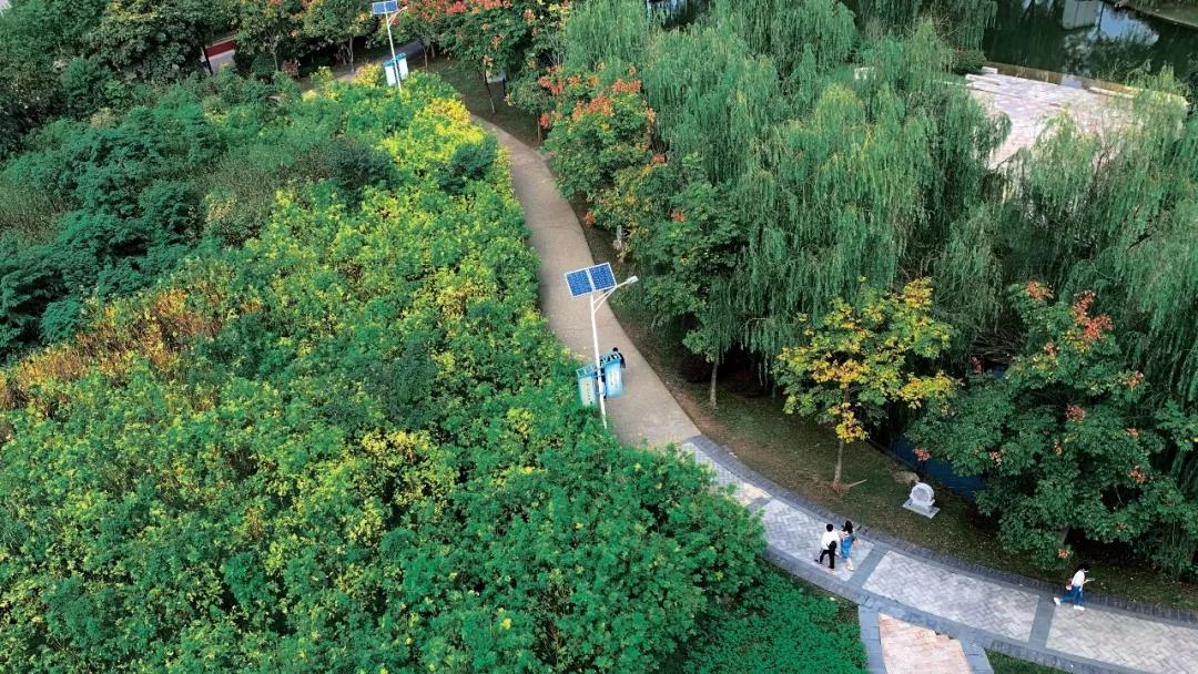 湖北国土资源职业学院单招报名费,湖北国土资源职业学院单招容易吗