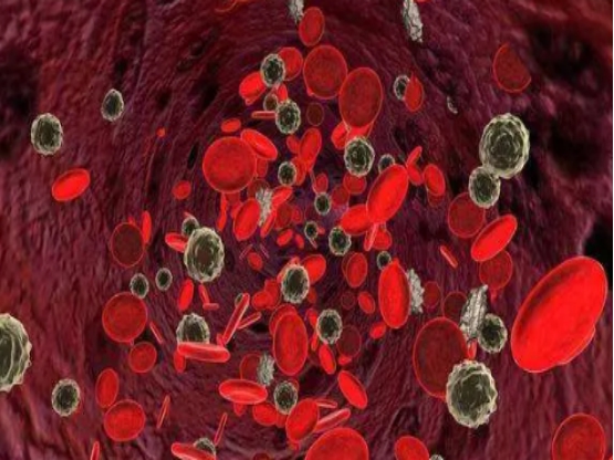 长期缺乏b12有什么后果,身体缺乏维生素b12的六大征兆