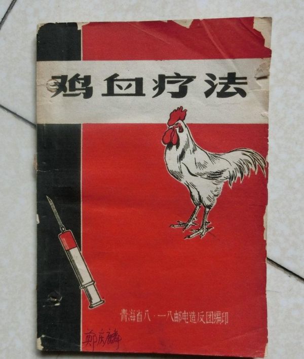 鸡血疗法历史解密,鸡血疗法