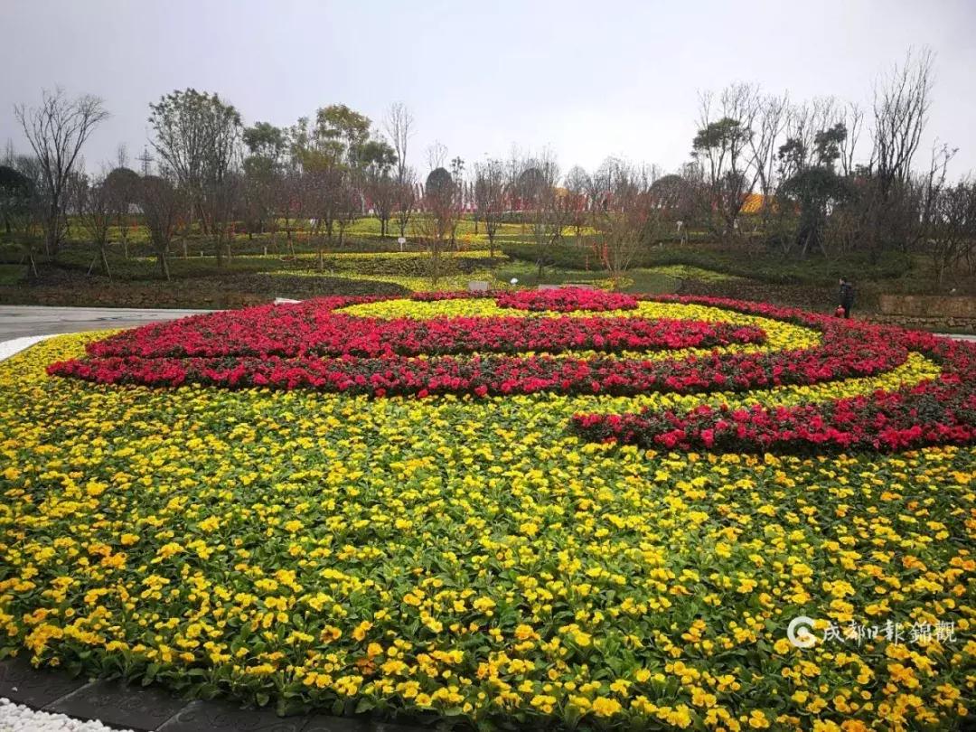 成都凤凰山露天音乐公园门票,成都露天音乐公园夜景视频
