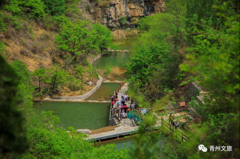青州泰和山黄花溪,青州黄花溪风景区门票直播