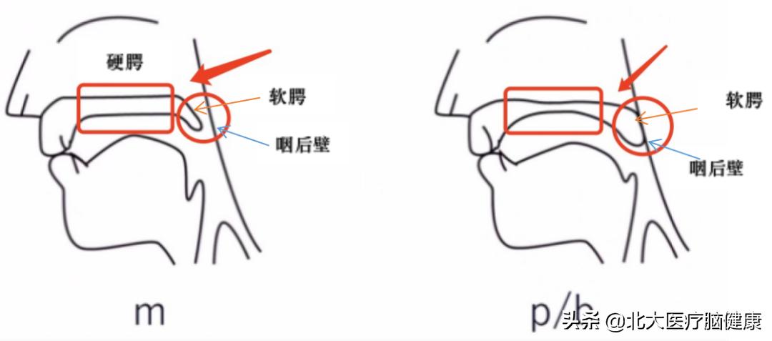 孩子怎么练习前后鼻音,怎样教孩子鼻音发声