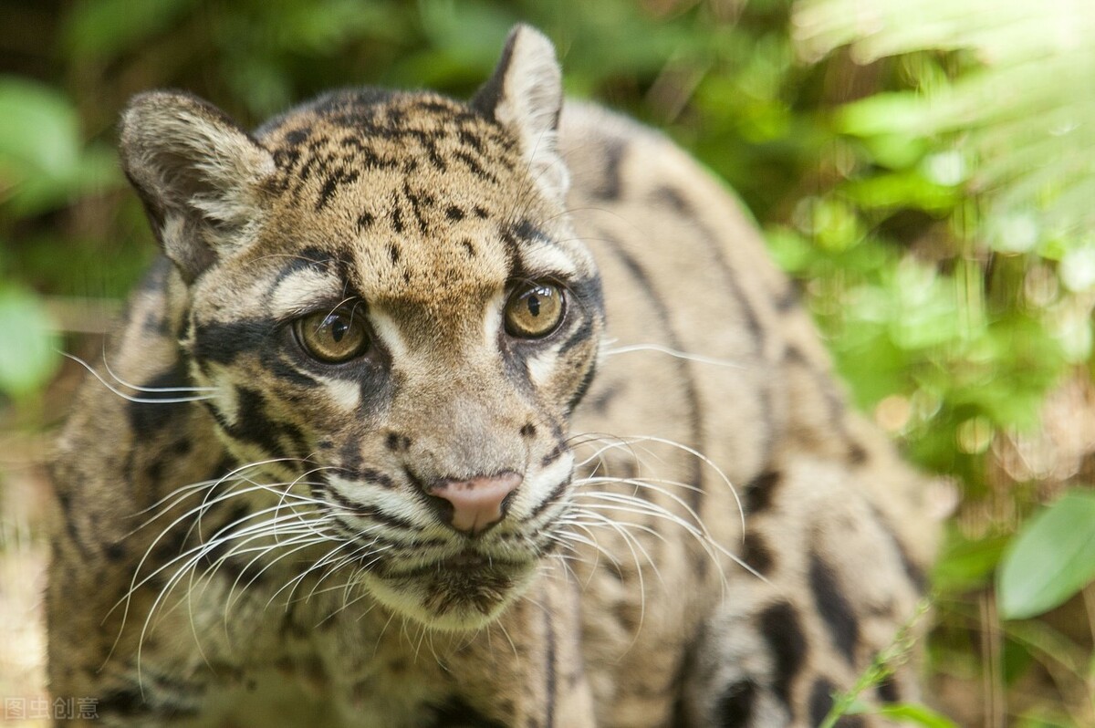 乡愁宝岛台湾,乡土地理广东