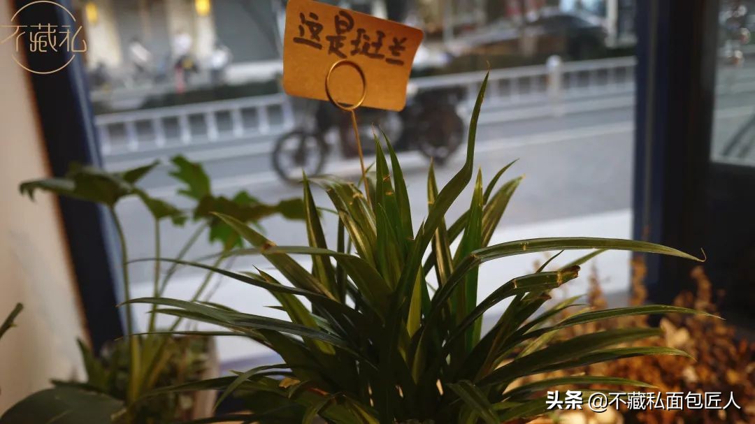 端午去哪儿杭州,杭州端午假期去哪里