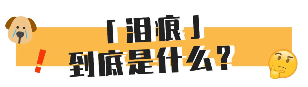 狗狗眼角的泪痕怎么去除小妙招,狗狗眼部泪痕有结痂怎么弄