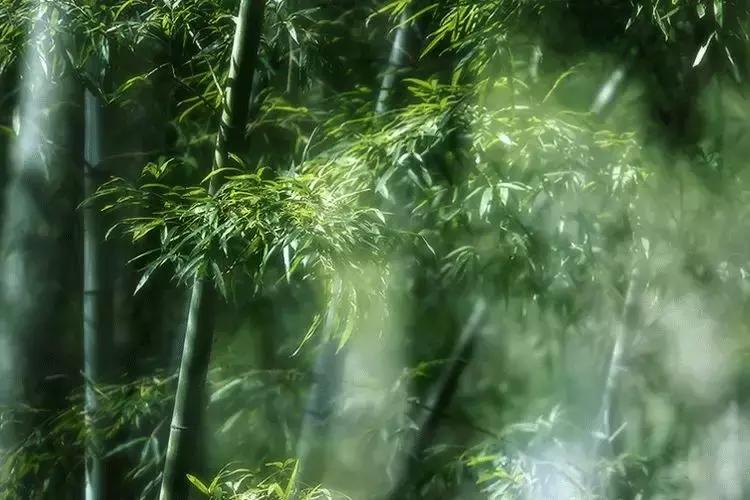 万事皆有对错唯有人心不可估量,凡事须有度完整版