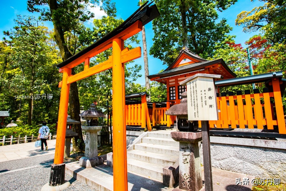 京都伏见稻荷神社可以爬一半吗,京都之旅