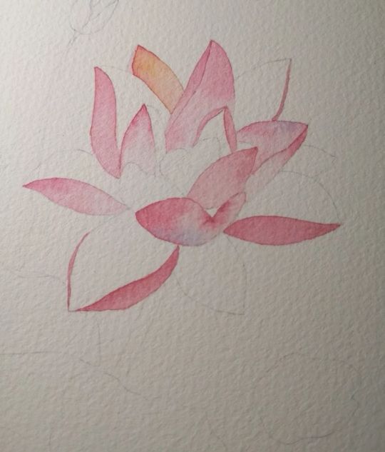 如何画荷花的最简单的方法,怎么画荷花一步一步教你画荷花