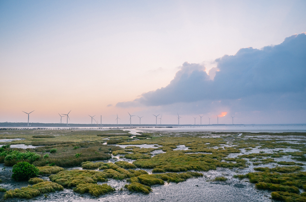 地方叫高美湿地,绝美滩涂,吸引了无数人来打卡日落美景