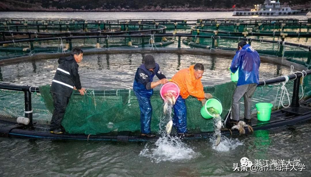 娴欐睙鏃ユ姤娣卞害鎶ラ亾,娴欐睙鏃ユ姤寮曢鏂扮殑鑸▼