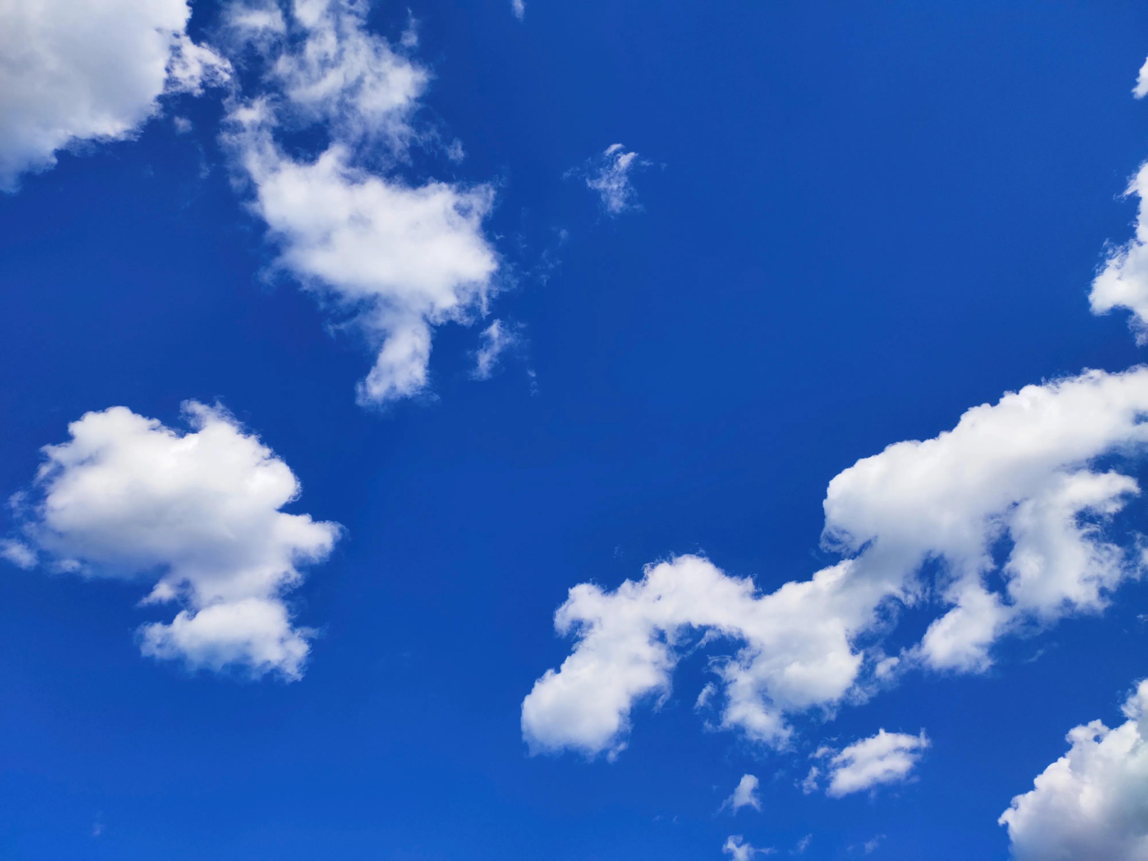 武清南湖公园免费,武清南湖公园门票多少钱